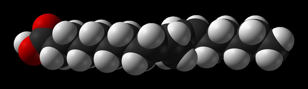 18:2 conjugated linoleic acid (CLAs)